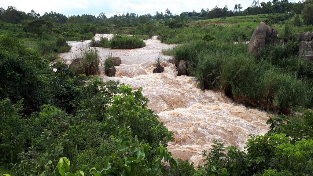 Seigrene - energias renováveis