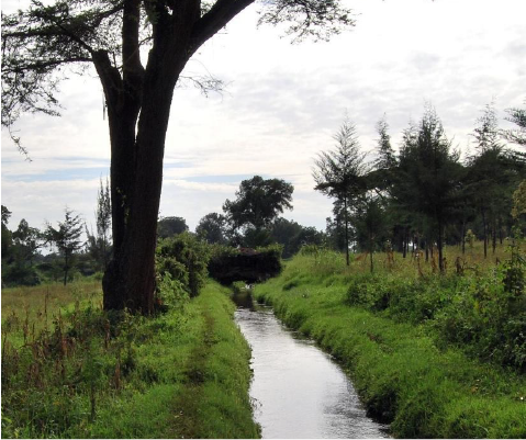 Mini-Hídrica de Ndanu e Sagana