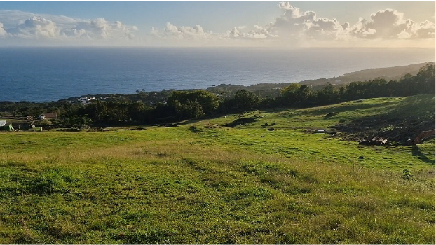Central Solar Fotovoltaica do Morno