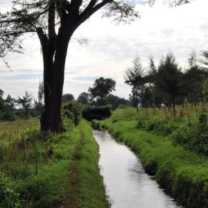 Saigrene - energias renováveis